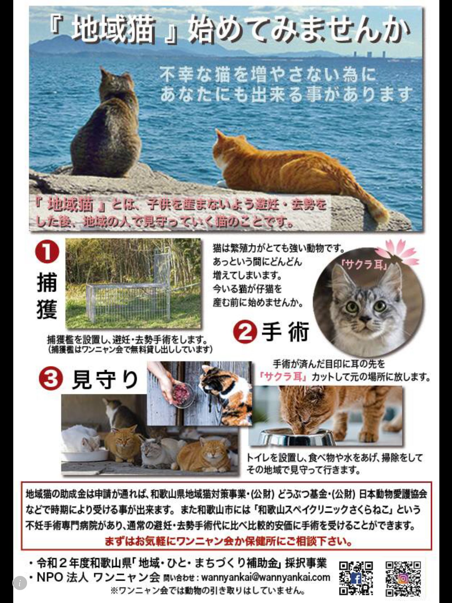 桜耳の猫 知っていますか 特定非営利活動法人ワンニャン会