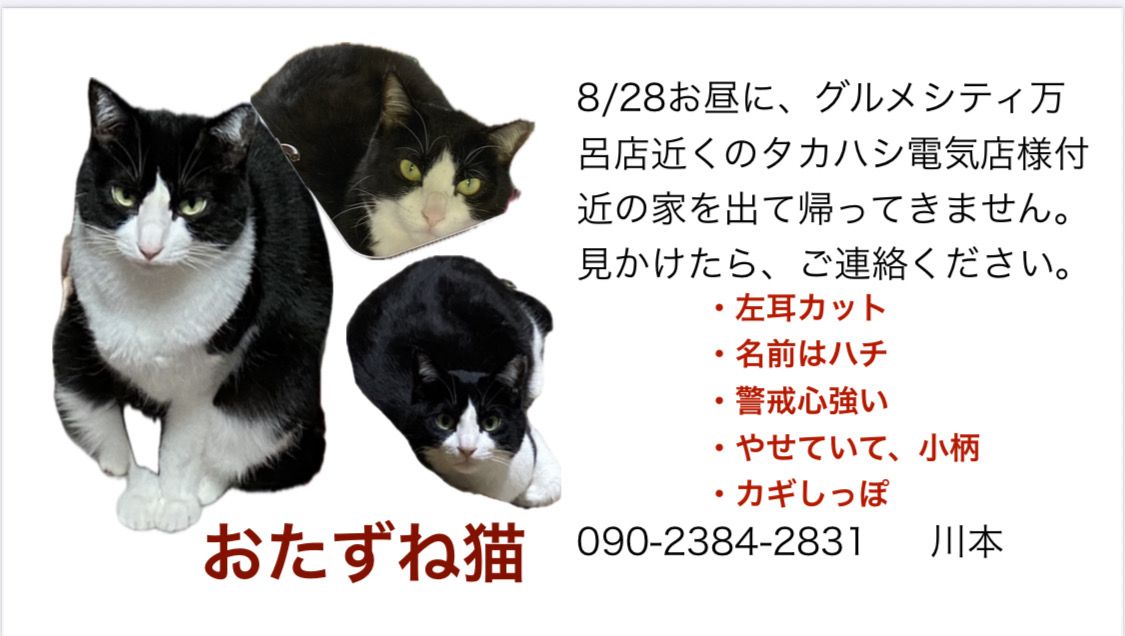 この子を探しています！ | 特定非営利活動法人ワンニャン会