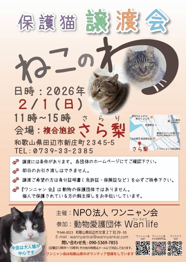 譲渡会開催します！ | 特定非営利活動法人ワンニャン会